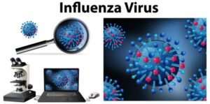 Influenza